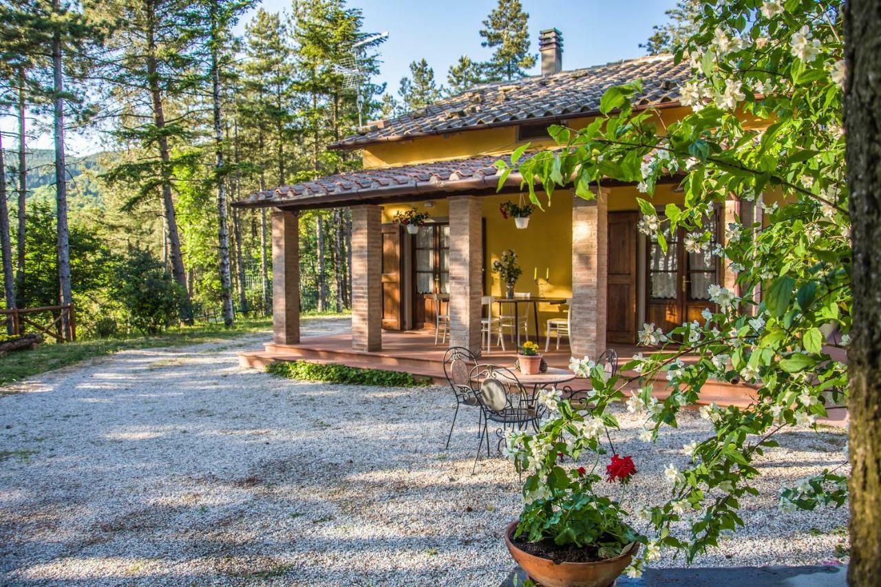 Il Ginepro Villa Cortona Buitenkant foto