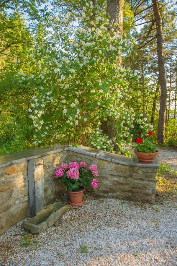 Il Ginepro Villa Cortona Buitenkant foto