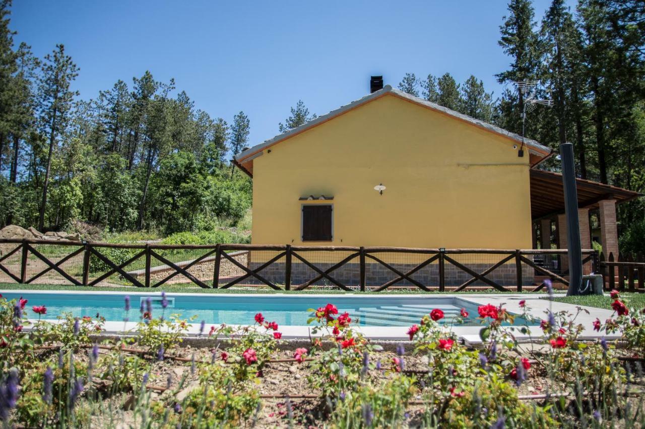 Il Ginepro Villa Cortona Buitenkant foto